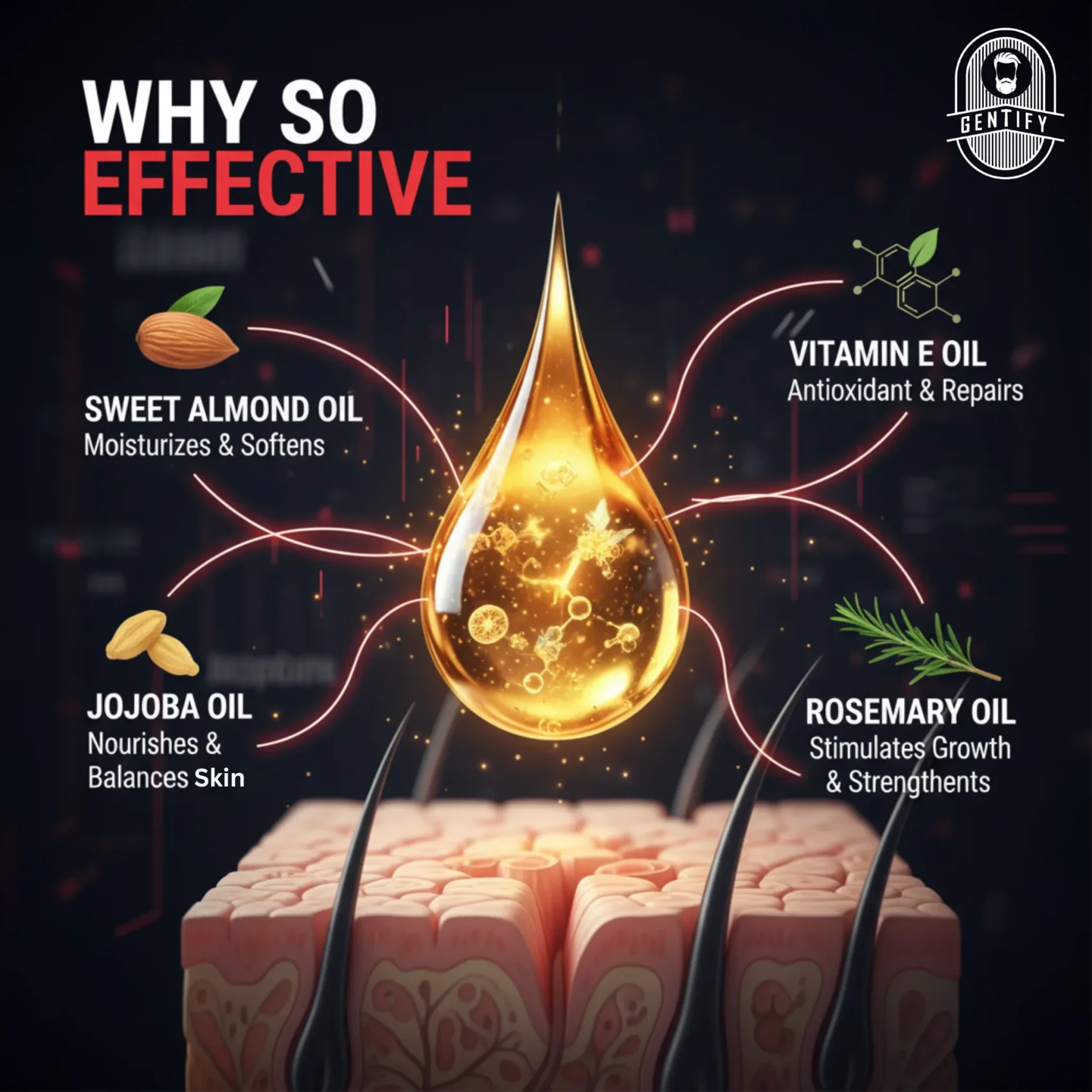 Why So Effective? Sweet Almond Oil, Jojoba Oil, Vitamin E Oil, Rosemary Oil penetrate deep into hair follicles